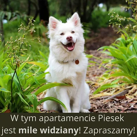 Apartament Sportapartment Szczyrk