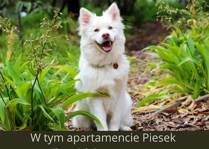 דירה Sportapartment שצ'צ'ירק